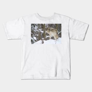 Grey Wolf Kids T-Shirt